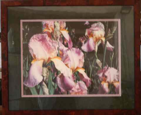 #13 - Linda L. Lundell - The Huntington Iris