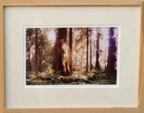 #14 - Linda L. Lundell - Kindred Spirits