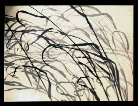 #54 - Pat Warner - Grasses, Wind