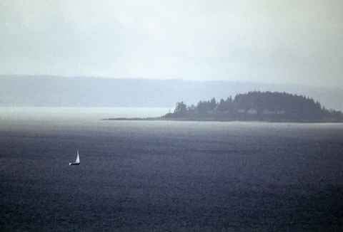 #55 - Durnford King - Sail Boat