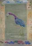 Sandra Ducoff Garber - title: Little Blue Heron Ballona