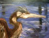 Kristen Landgrebe - title: Ballona Heron