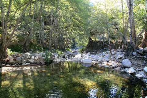 #1 - Angela M Ortiz - Above Altadena - Stream Series